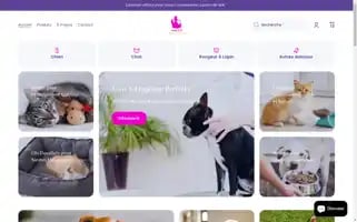 Anileo.com Screenshot 2024-05-03 17:06:16