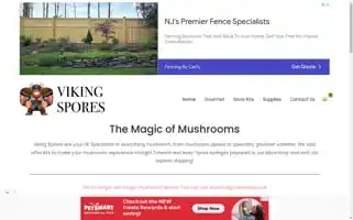 Vikingspore.co.uk Screenshot 2024-05-29 03:01:28