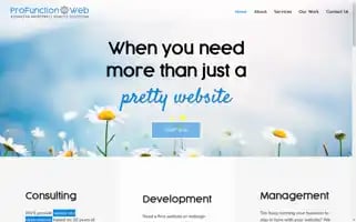 Profunctionweb.com Screenshot 2024-06-29 17:11:58