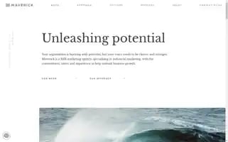 Maverick-intl.com Screenshot 2024-06-18 15:33:45