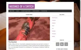 Musingsofaswitch.com Screenshot 2024-07-03 03:31:52