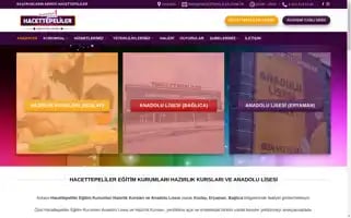 Hacettepeliler.com.tr Screenshot 2024-06-17 06:16:45