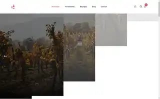 Lacavedupetitbeauceron.com Screenshot 2024-05-20 23:43:55