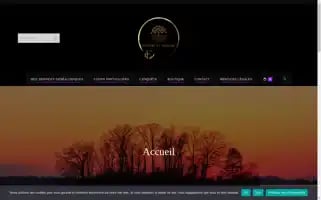 Xn--histoiremmoiregnalogiefamilialeferdin-jjdgb.fr Screenshot 2024-05-22 09:05:48