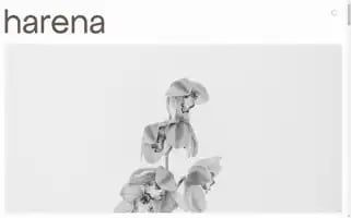 Harena.studio Screenshot 2024-07-07 16:44:30