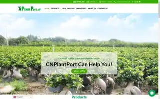 Cnplantport.com Screenshot 2024-05-25 08:11:28