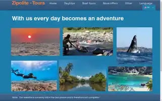 Zipolite-tours.com Screenshot 2024-04-16 11:39:40