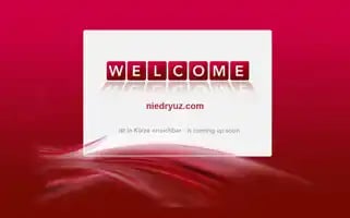Niedryuz.com Screenshot 2024-05-22 21:15:51
