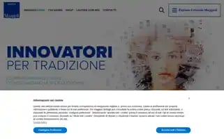Maggioli.com Screenshot 2024-06-18 04:53:58