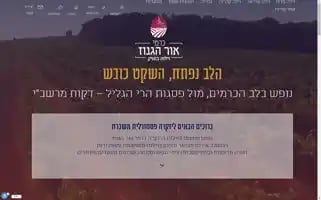 Carmey.co.il Screenshot 2024-07-08 02:39:00