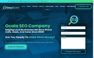 Easystreetmarketing.net Screenshot 2024-06-13 16:21:12