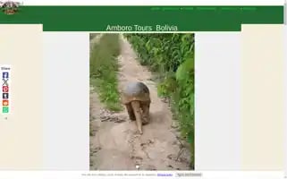 Amborotours.com Screenshot 2024-04-16 01:53:35