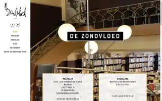 Dezondvloed.be Screenshot 2024-07-05 00:08:19