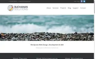Buchanan-solutions.com Screenshot 2024-06-26 02:18:59