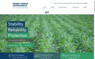 Fennighoman.com Screenshot 2024-07-02 05:36:33