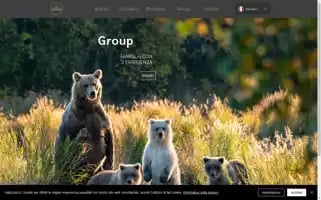 Cosvalgroup.com Screenshot 2024-07-02 19:08:30