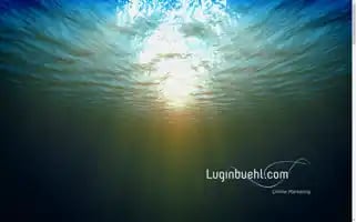Luginbuehl.com Screenshot 2024-06-30 19:41:51