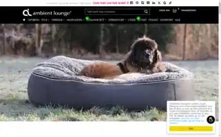 Ambient-lounge.no Screenshot 2024-05-06 00:27:42