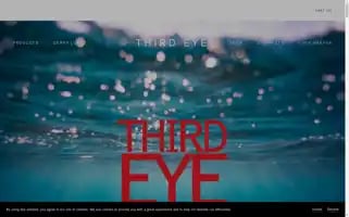 Thirdeyeworld.com Screenshot 2024-06-16 12:06:45