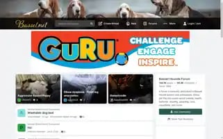 Basset.net Screenshot 2024-06-26 10:49:57