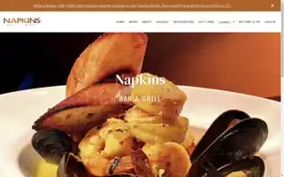Napkinsnapa.com Screenshot 2024-06-30 10:37:40
