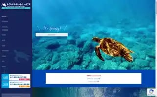 Tns-travel.co.jp Screenshot 2024-04-14 17:54:53