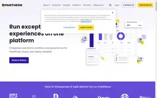 Pantheon.io Screenshot 2024-06-29 21:52:11