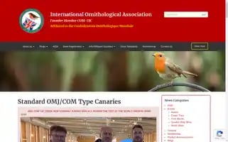 Ioa-com-uk.org Screenshot 2024-05-17 01:41:47
