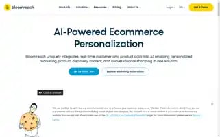 Bloomreach.com Screenshot 2024-07-10 09:42:14