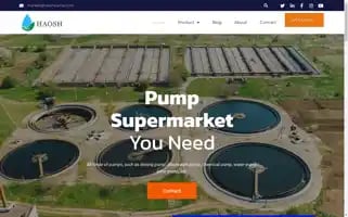 Haoshpump.com Screenshot 2024-06-28 00:22:28