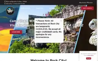 Seerockcity.com Screenshot 2024-07-06 00:49:04