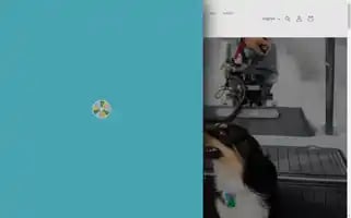 Skifflife.us Screenshot 2024-05-16 17:38:17
