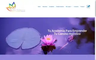 Proholistica.com Screenshot 2024-05-27 17:12:17