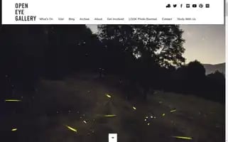 Openeye.org.uk Screenshot 2024-06-30 03:15:15