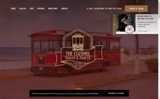 Cozumeltrolleytour.com Screenshot 2024-04-17 03:57:41
