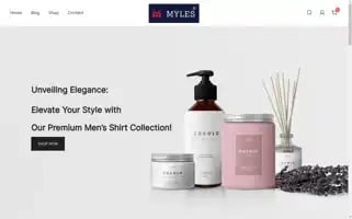 Myleswear.com Screenshot 2024-05-26 02:17:16