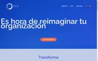 Molteniconsulting.com Screenshot 2024-07-05 00:43:52