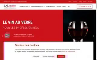 Advineo.com Screenshot 2024-06-27 00:08:26