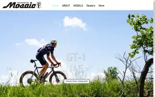 Mosaiccycles.com Screenshot 2024-07-03 02:46:05