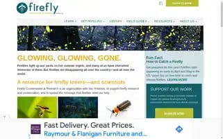 Firefly.org Screenshot 2024-06-28 11:50:22