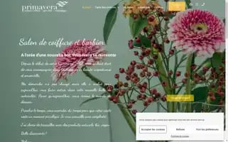 Primavera-coiffure.fr Screenshot 2024-05-22 10:50:19