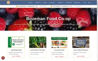 Bozo.coop Screenshot 2024-07-04 17:01:55