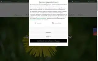 Bettlinsbad.de Screenshot 2024-06-18 15:25:56