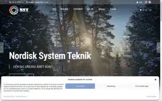 Nst-ab.com Screenshot 2024-05-19 05:40:15