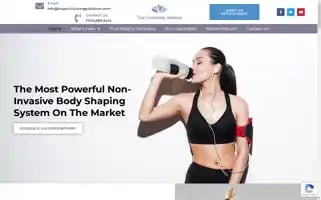 Truecontouringsolutions.com Screenshot 2024-04-24 10:23:23