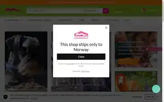 Houseofdogs.no Screenshot 2024-06-14 10:58:25