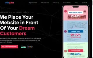 Webjuice.ie Screenshot 2024-06-15 21:57:03