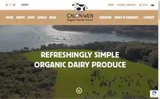 Calonwen-cymru.com Screenshot 2024-06-12 16:23:48