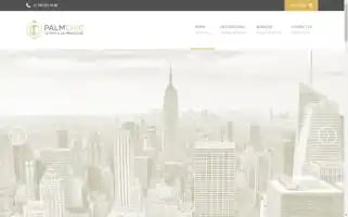 Palmchic.com Screenshot 2024-05-28 04:07:56