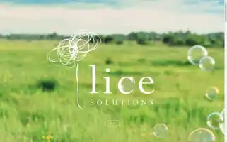 Licesolutions.org Screenshot 2024-06-13 14:19:28